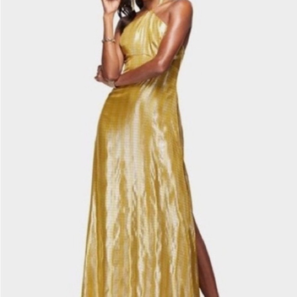 Ramy Brook Shimmering Gold Dress